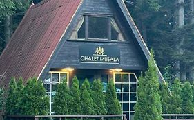 Chalet Musala Borovets By Bookvillabg